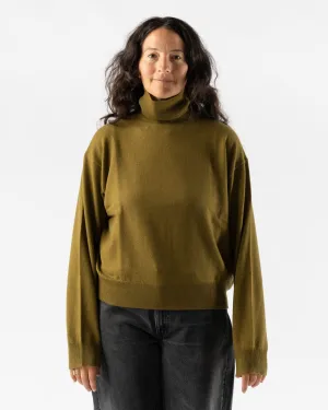 Sofie D'Hoore Mazzy High Neck Sweater in Olive